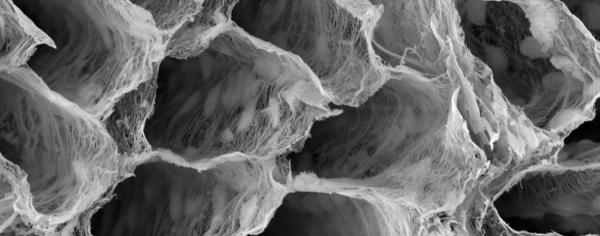 Microscopic view of textured, irregular surfaces and structures.